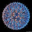 Virus